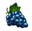 Grapes