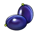 Plum
